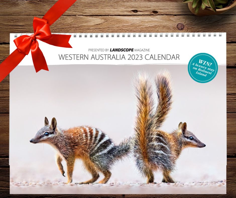 Join us for a Christmas special offer - WA Parks Foundation