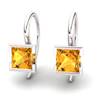 Citrine Watchtower Hook Earrings