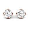 White Sapphire Earrings Rose Gold Gumnut Design
