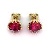 Ruby Yellow Gold Gumnut Stud Earrings
