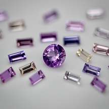 One of a Kind Design Bushwalk