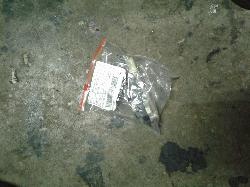 View Auto part Pwr Dr Wind Switch Mitsubishi Magna 1999