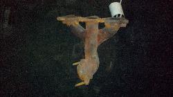 View Auto part Manifold Holden Commodore 2008