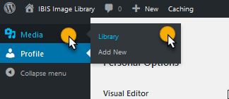 View Image Library