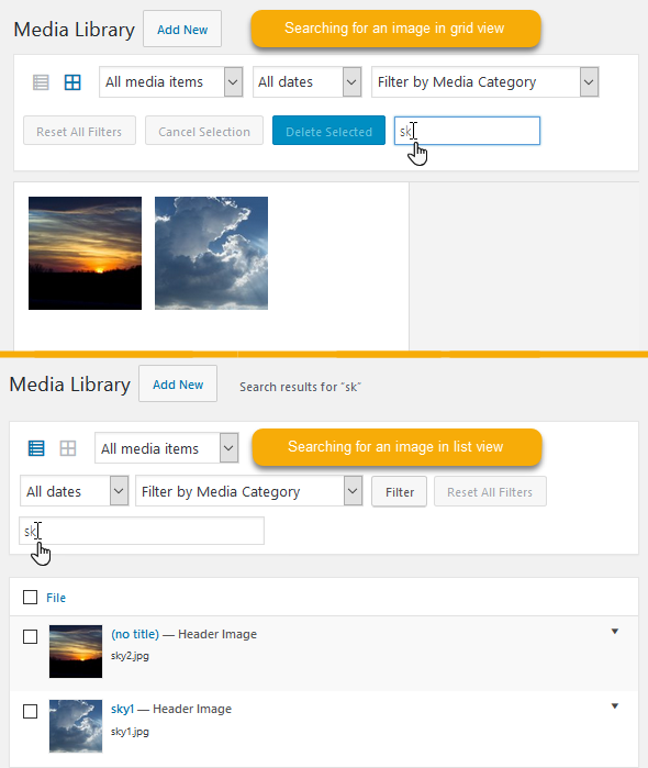 Searching for an Image