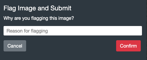 Flag and submit dialog