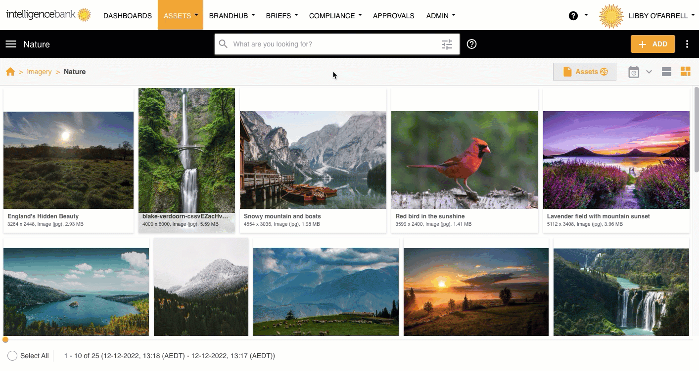 How do I request feedback on an asset?.gif
