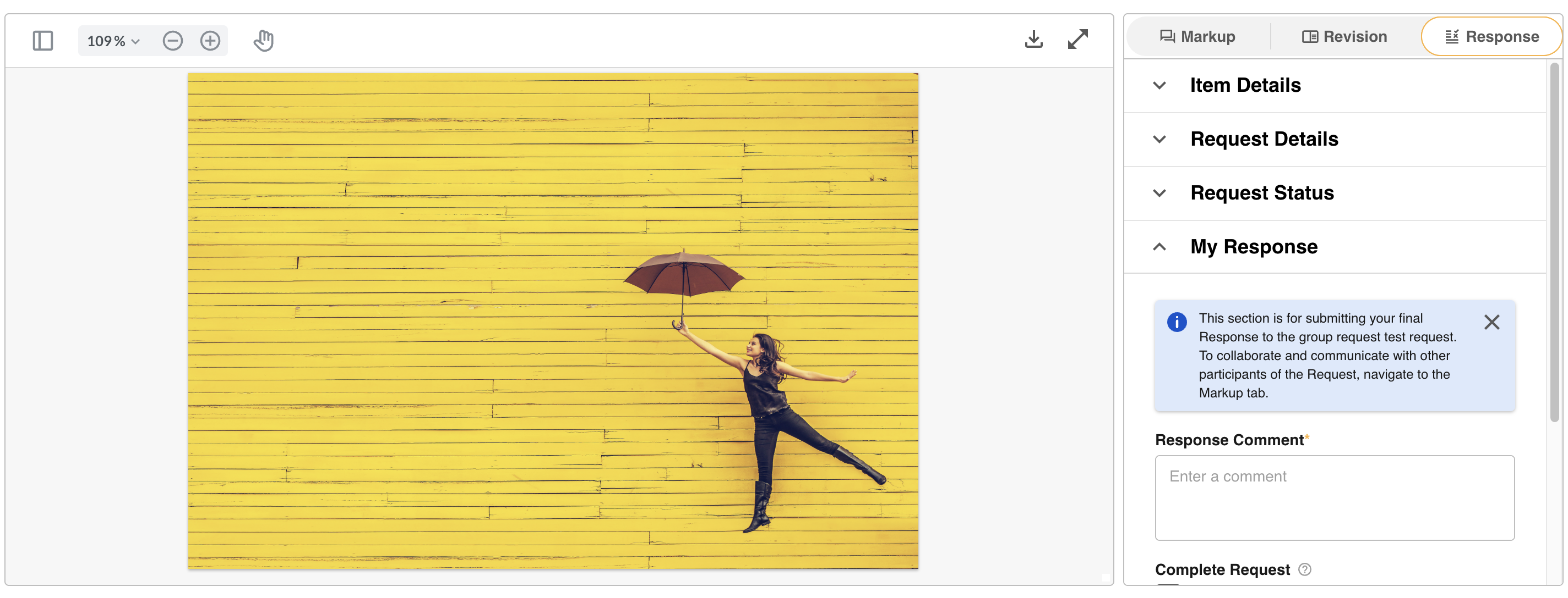 Asset preview on the left side of the Review Request page