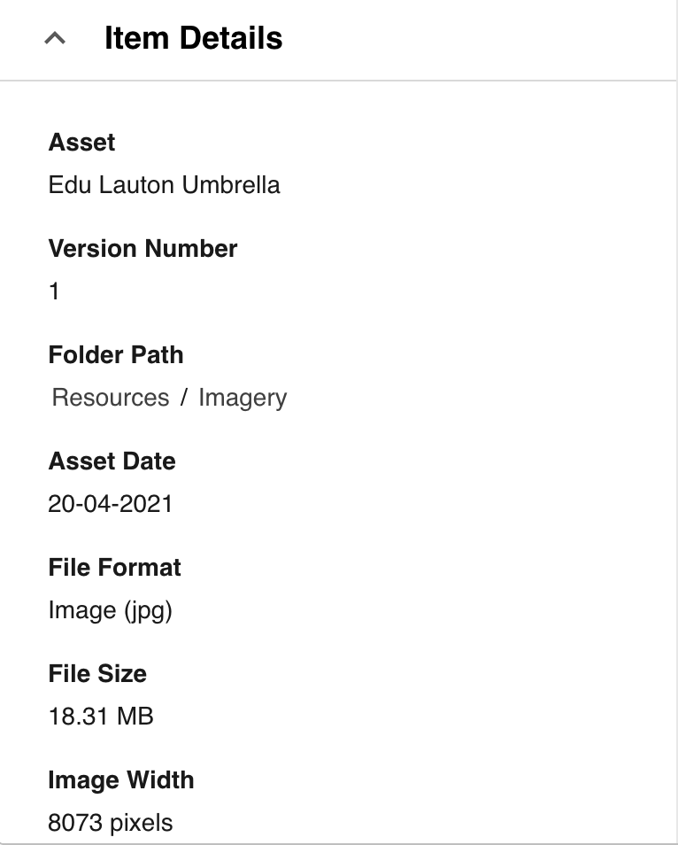 Item Details section showing asset metadata