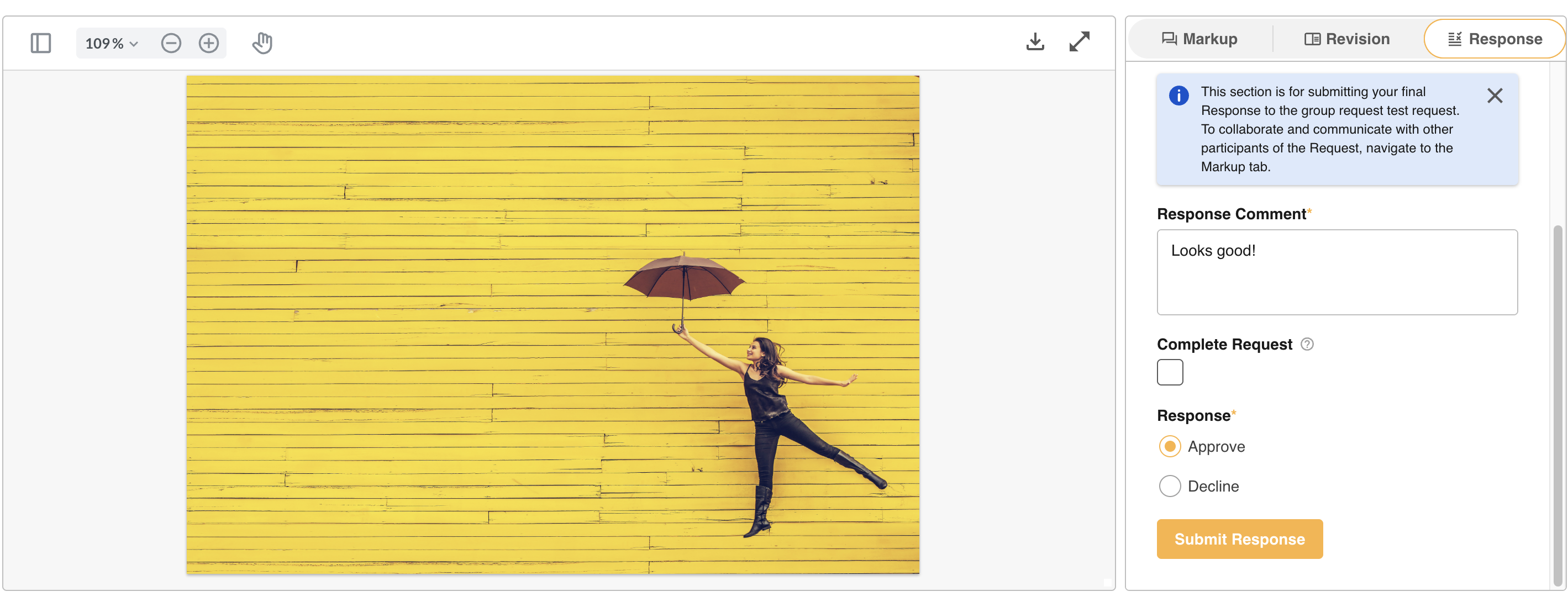 Submit Response button at the bottom right of the Review Request page