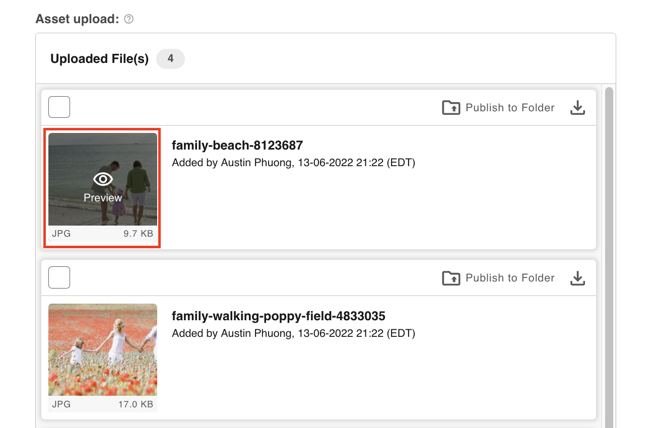 File preview opened from a thumbnail