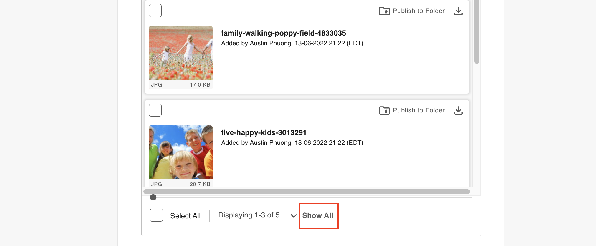 Show All link in the field footer