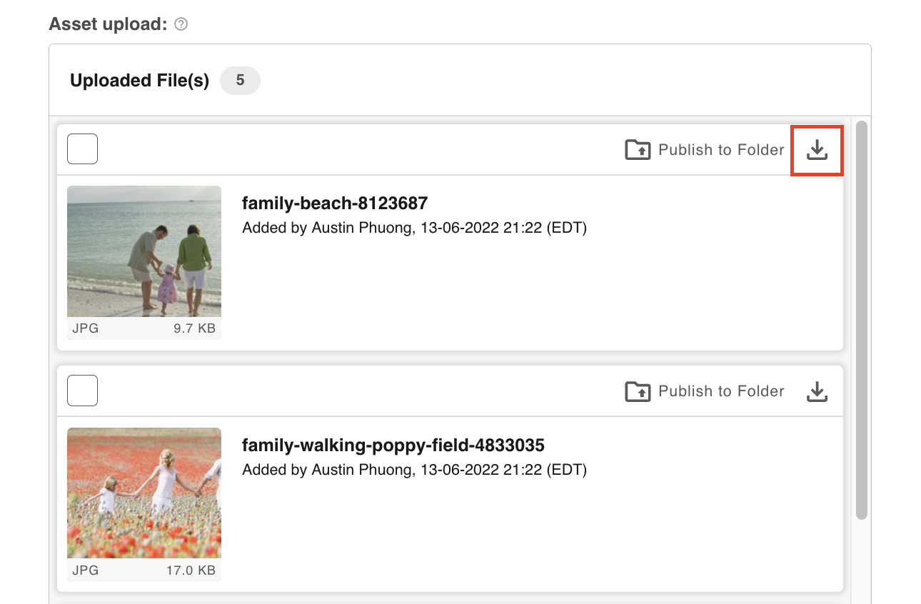 Downloading files from a multiple upload field