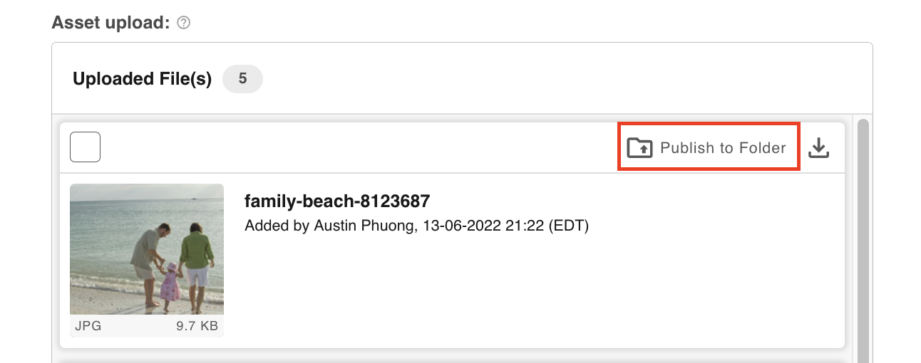 Publish to Folder button on a file