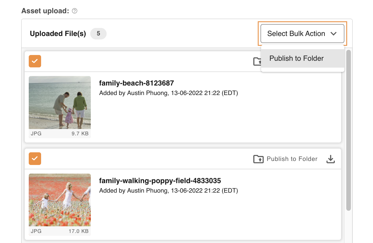 Adding asset details before publishing to a folder