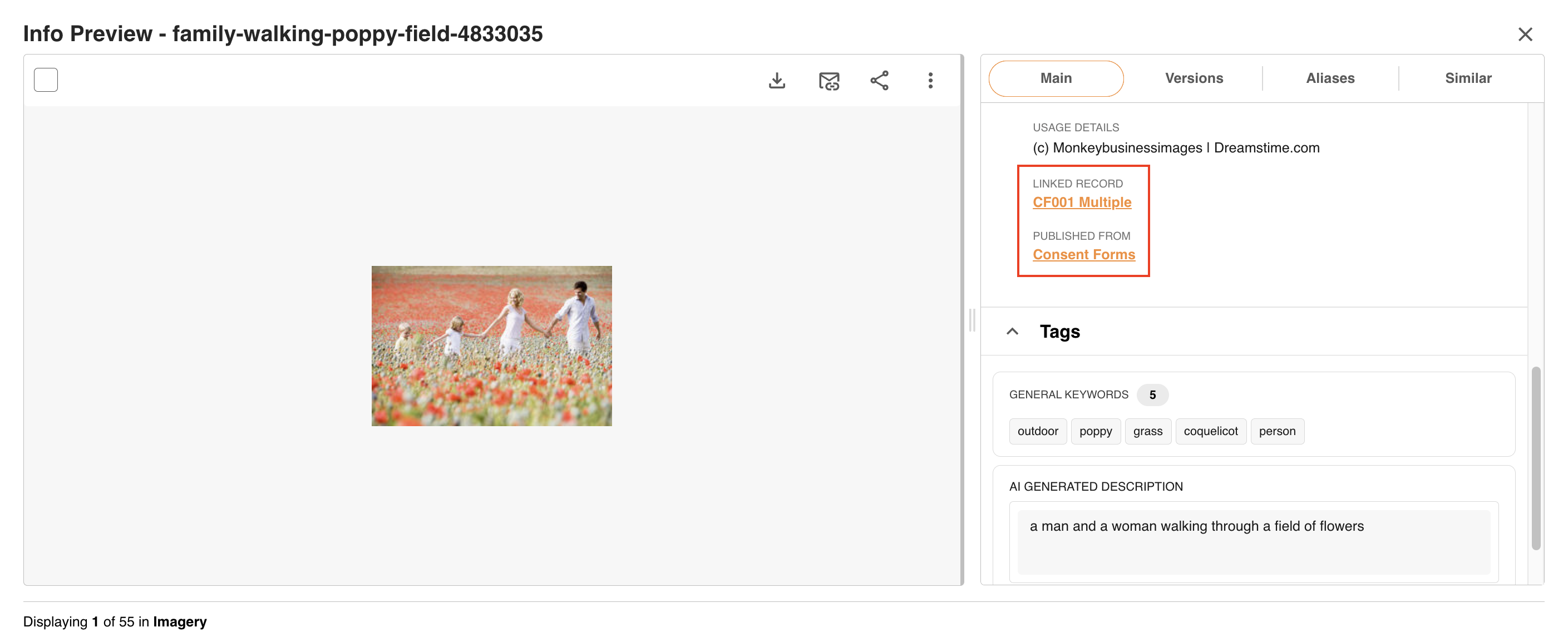 Linked Record and Published From details on an asset