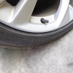 View Auto part Shock Absorber Holden Astra 2017