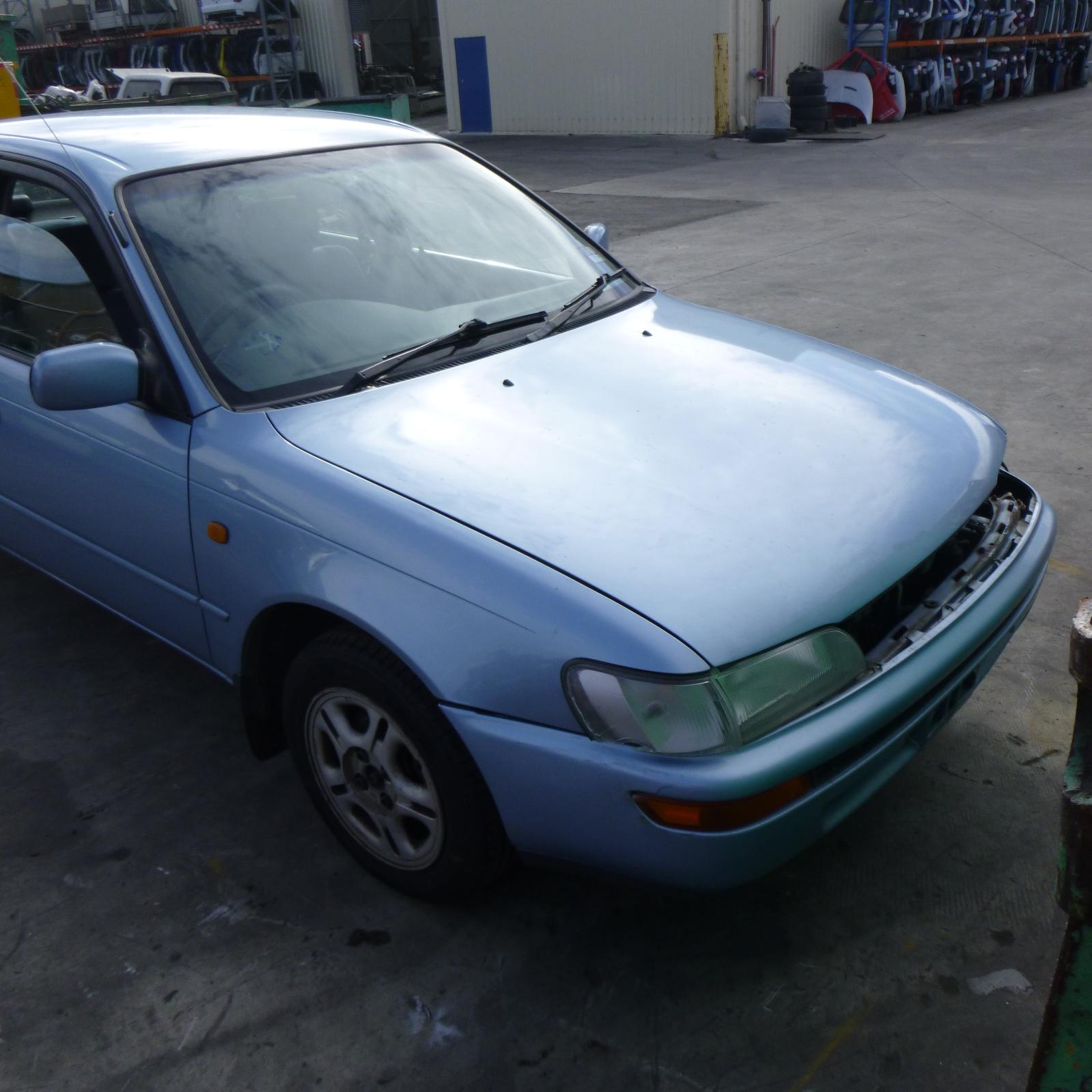 Pwr Dr Wind Switch Corolla Toyota 1997