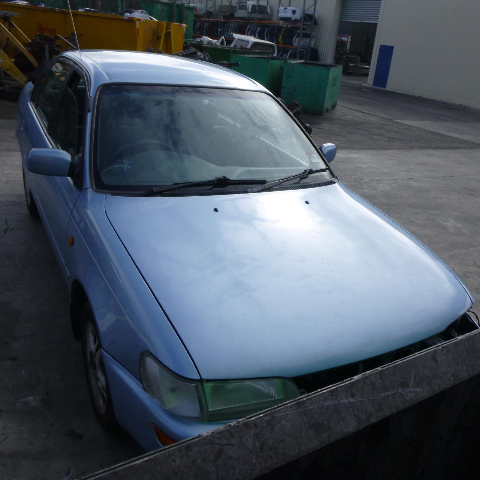 Pwr Dr Wind Switch Corolla Toyota 1997