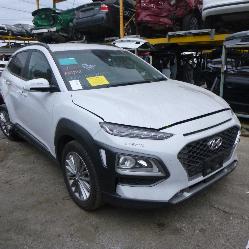 View Auto part Radiator Hyundai Kona 2020