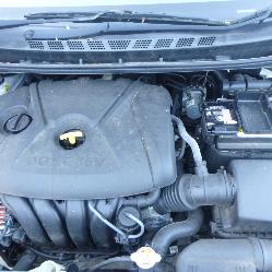 View Auto part Bonnet Lock/Support Hyundai Elantra 2012