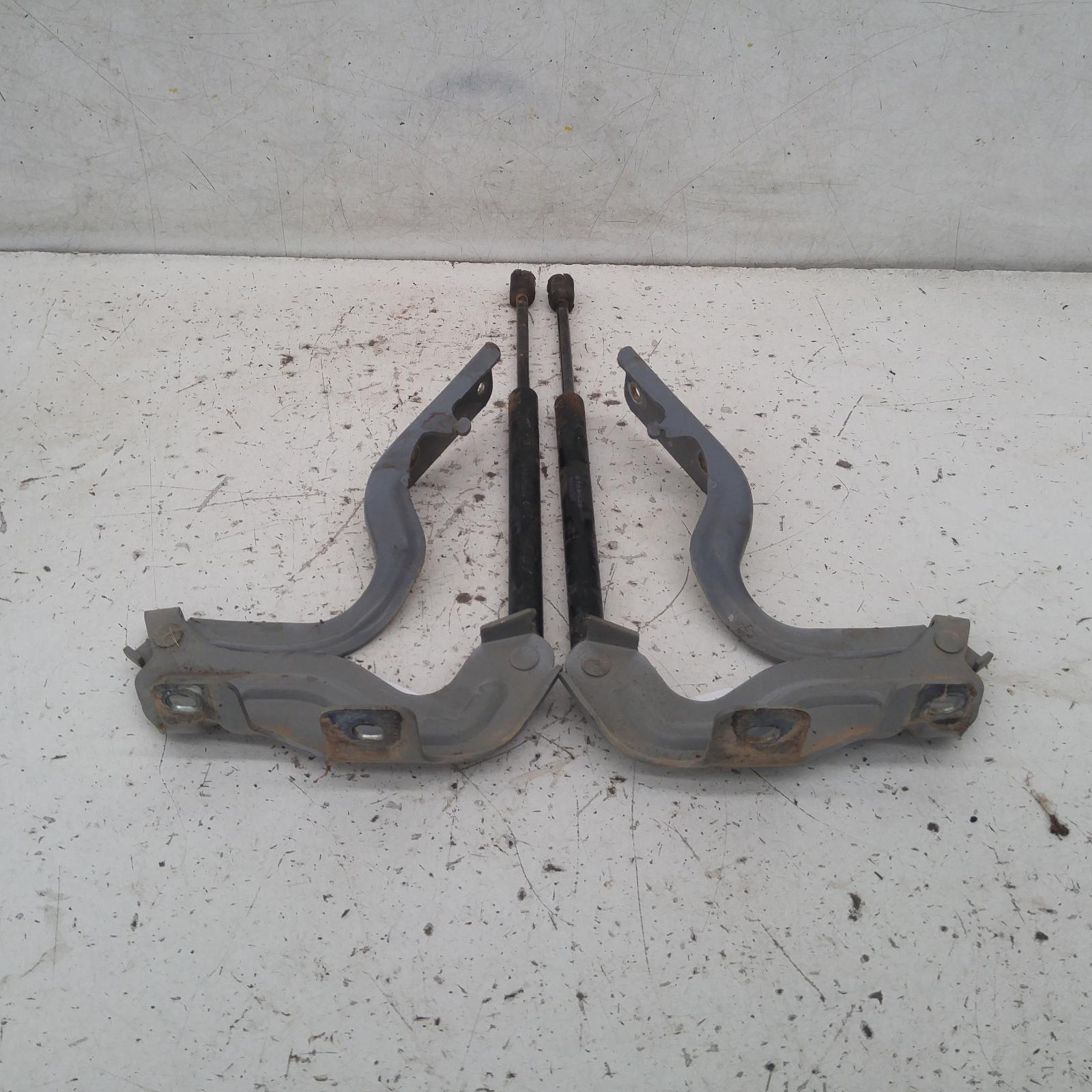 2009 Nissan Murano Bonnet Hinge/Strut View Auto part Bonnet Hinge/Strut Nissan Murano 2009