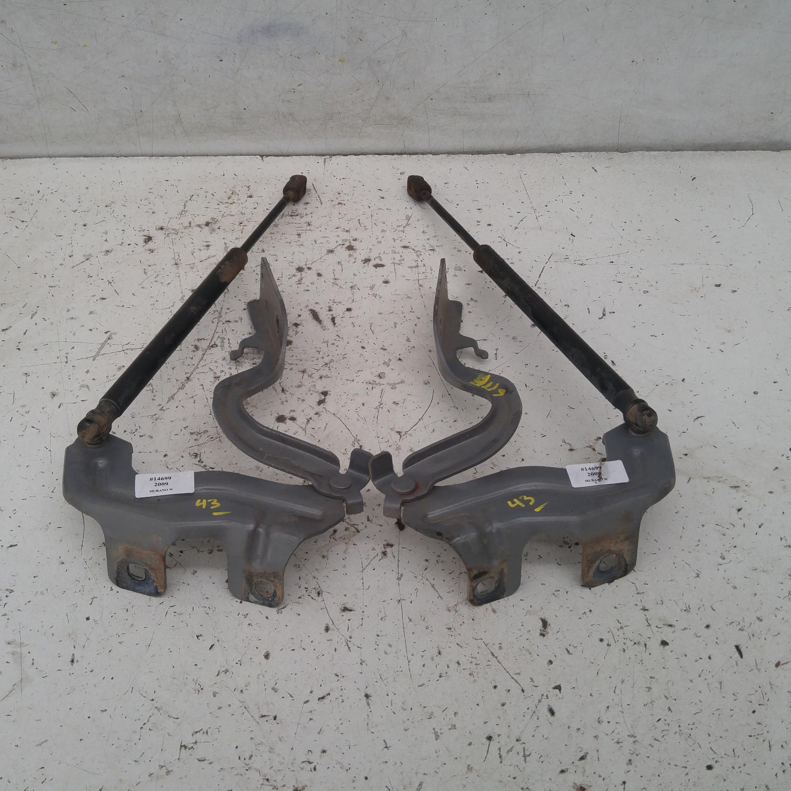 2009 Nissan Murano Bonnet Hinge/Strut View Auto part Bonnet Hinge/Strut Nissan Murano 2009