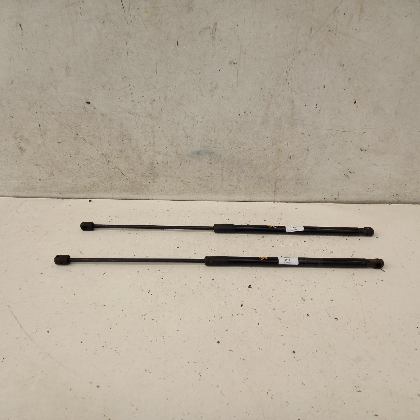 View Auto part Bonnet Hinge/Strut Toyota Camry 2018