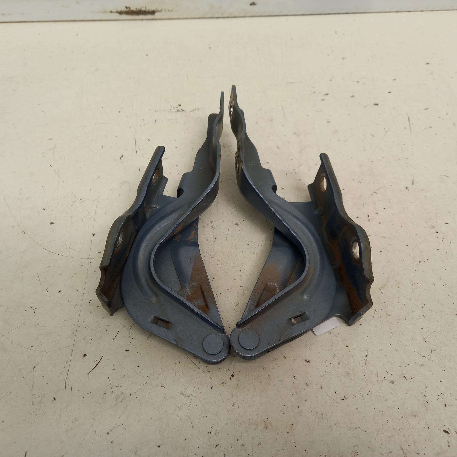 View Auto part Bonnet Hinge/Strut Hyundai Santa Fe 2010