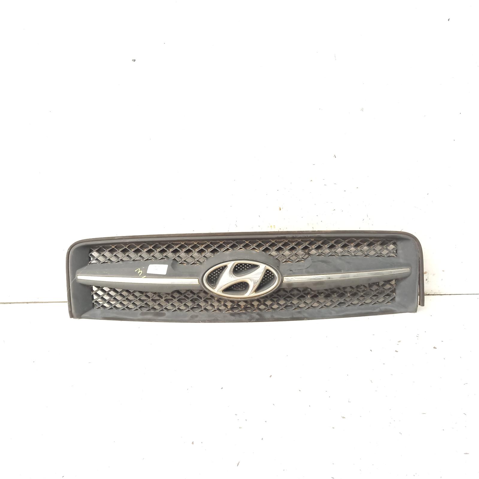 View Auto part Grille Hyundai Tucson 2007