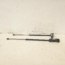 View Auto part Hatch Strut Holden Commodore 2020