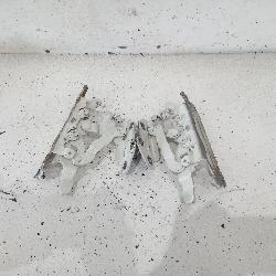 View Auto part Bonnet Hinge/Strut Mercedes C Class 2011