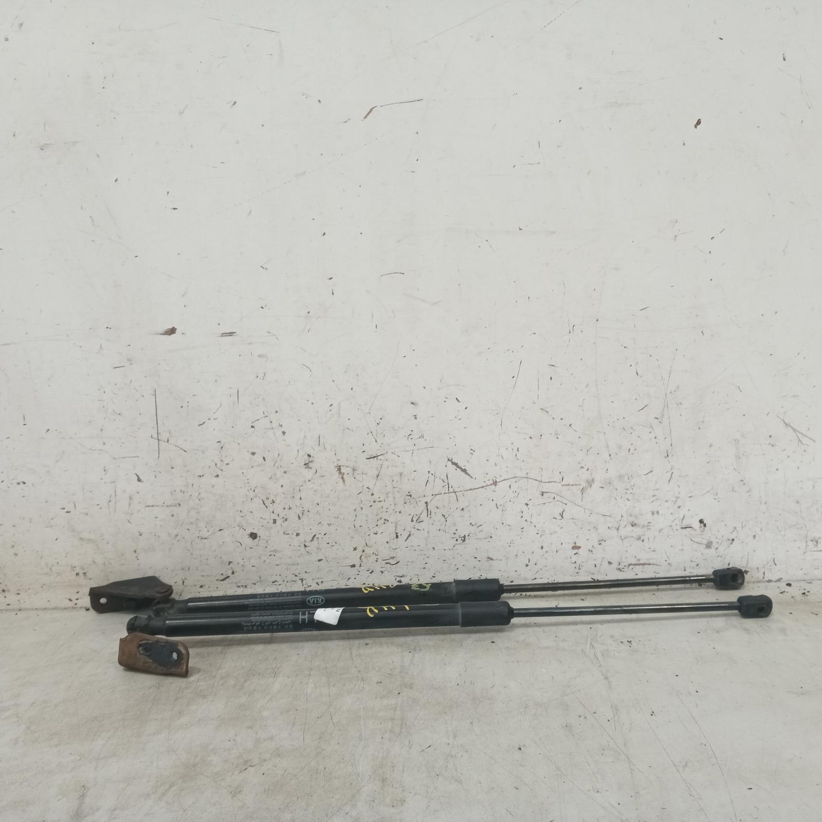 2016 Kia Sportage Hatch Strut View Auto part Hatch Strut Kia Sportage 2016