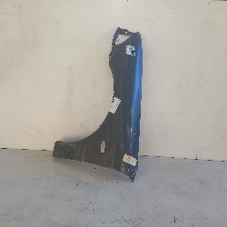 View Auto part Left Guard Proton Jumbuck 2005