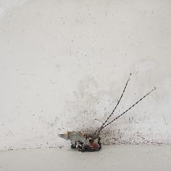 View Auto part Door/Boot/Gate Lock Holden Rodeo 2005