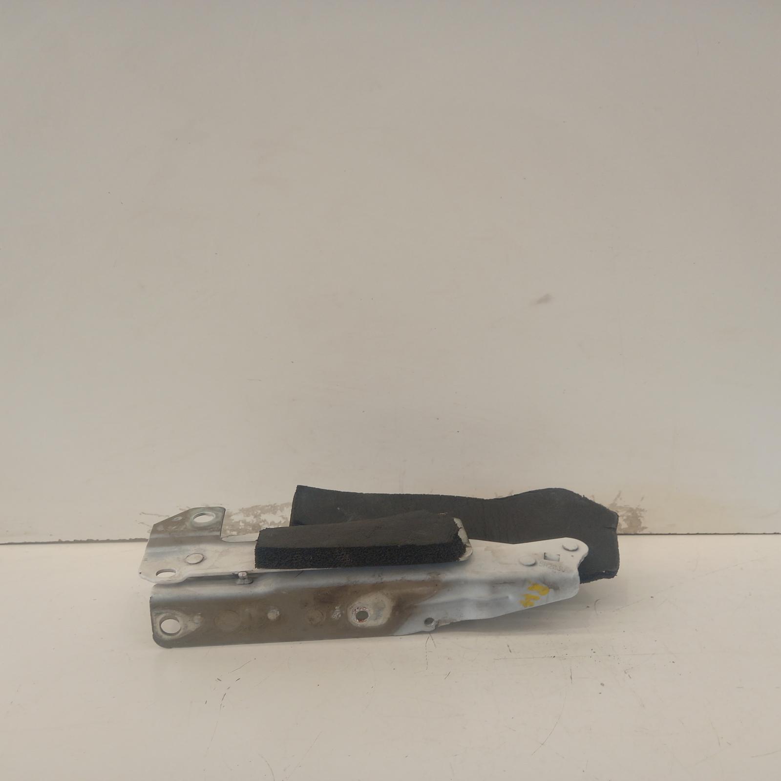 2016 Jeep Patriot Bonnet Hinge/Strut View Auto part Bonnet Hinge/Strut Jeep Patriot 2016