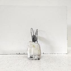 View Auto part Door/Boot/Gate Lock Suzuki Sx4 2008