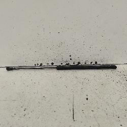 View Auto part Hatch Strut Nissan Qashqai 2019