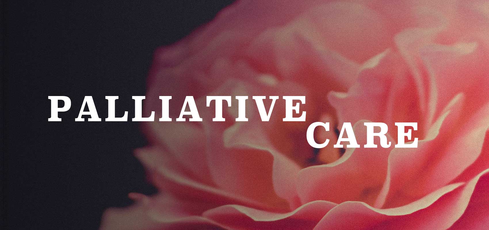 Palliative Care