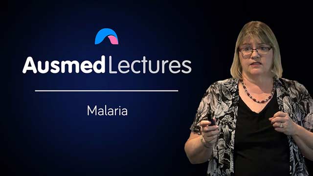 Cover image for lecture: Malaria