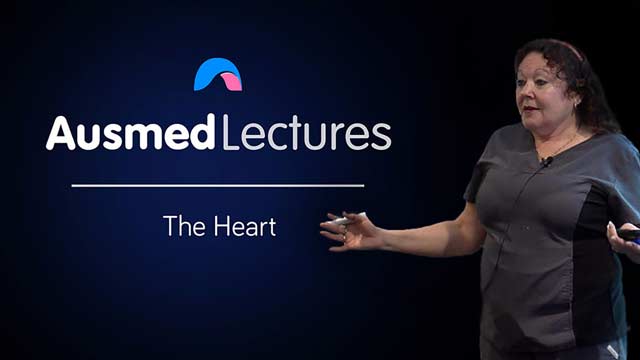 Cover image for lecture: The Heart