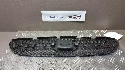 View Auto part Grille Hyundai Getz 2009