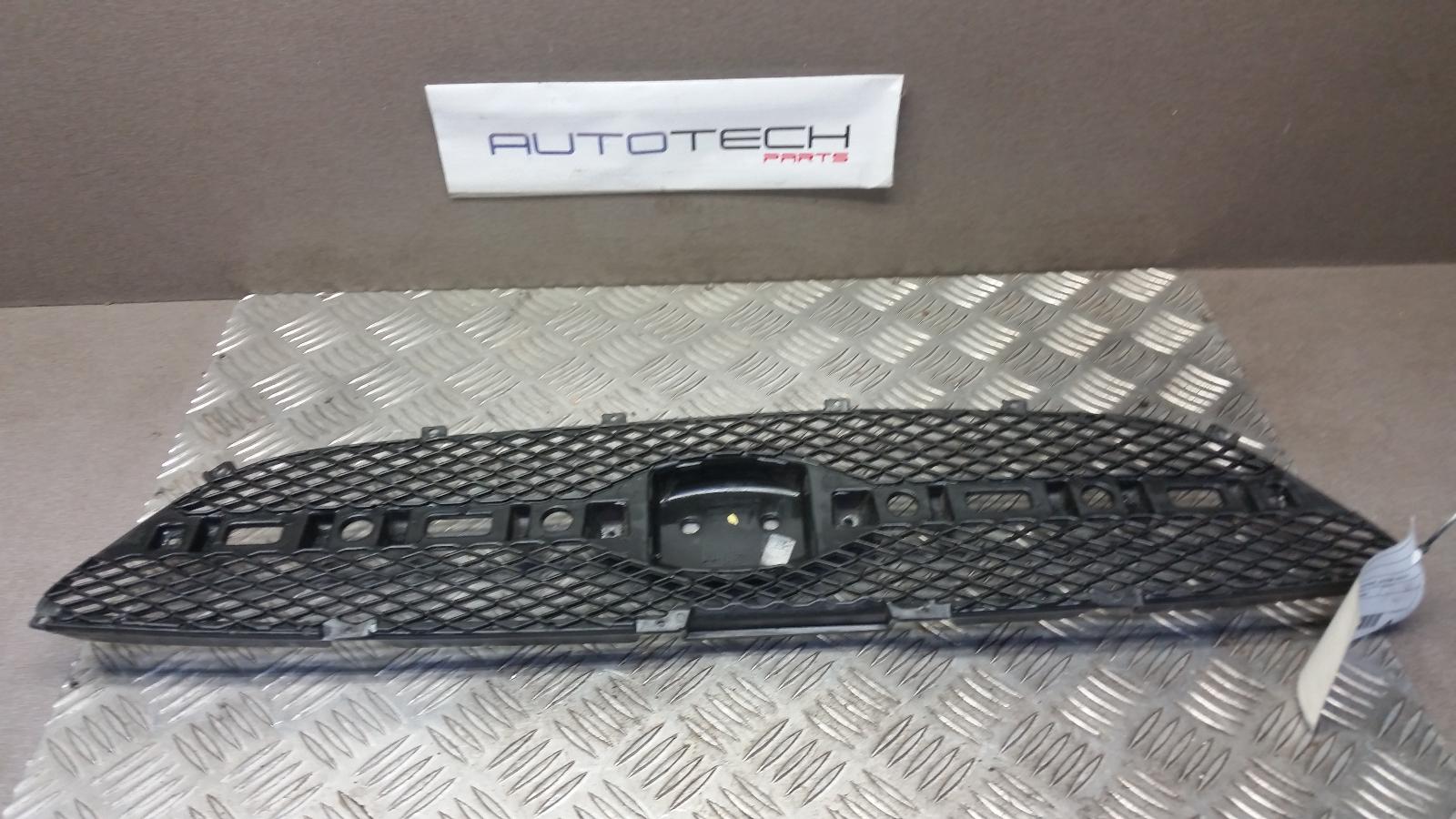 View Auto part Grille Hyundai Getz 2009