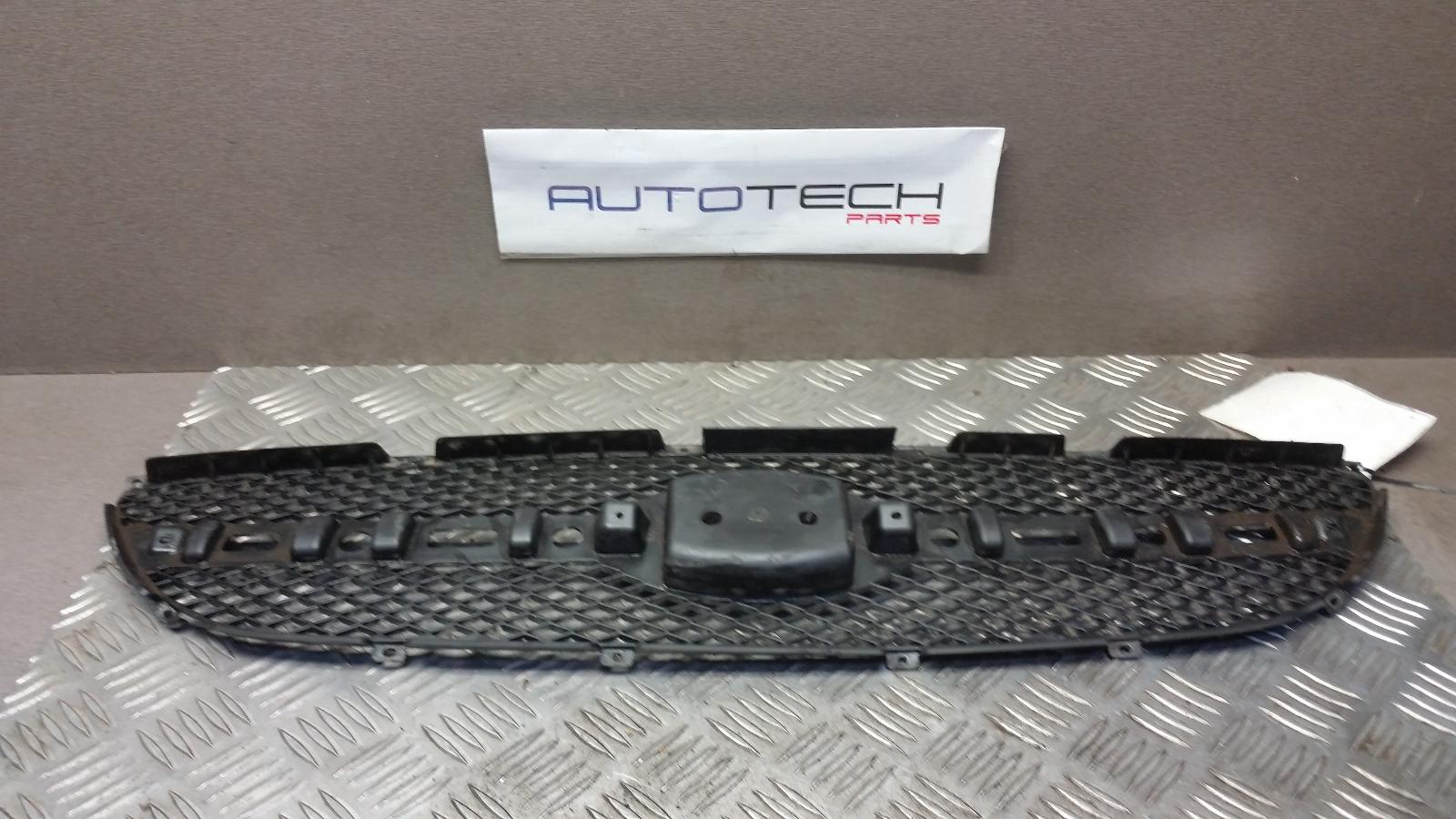 View Auto part Grille Hyundai Getz 2009