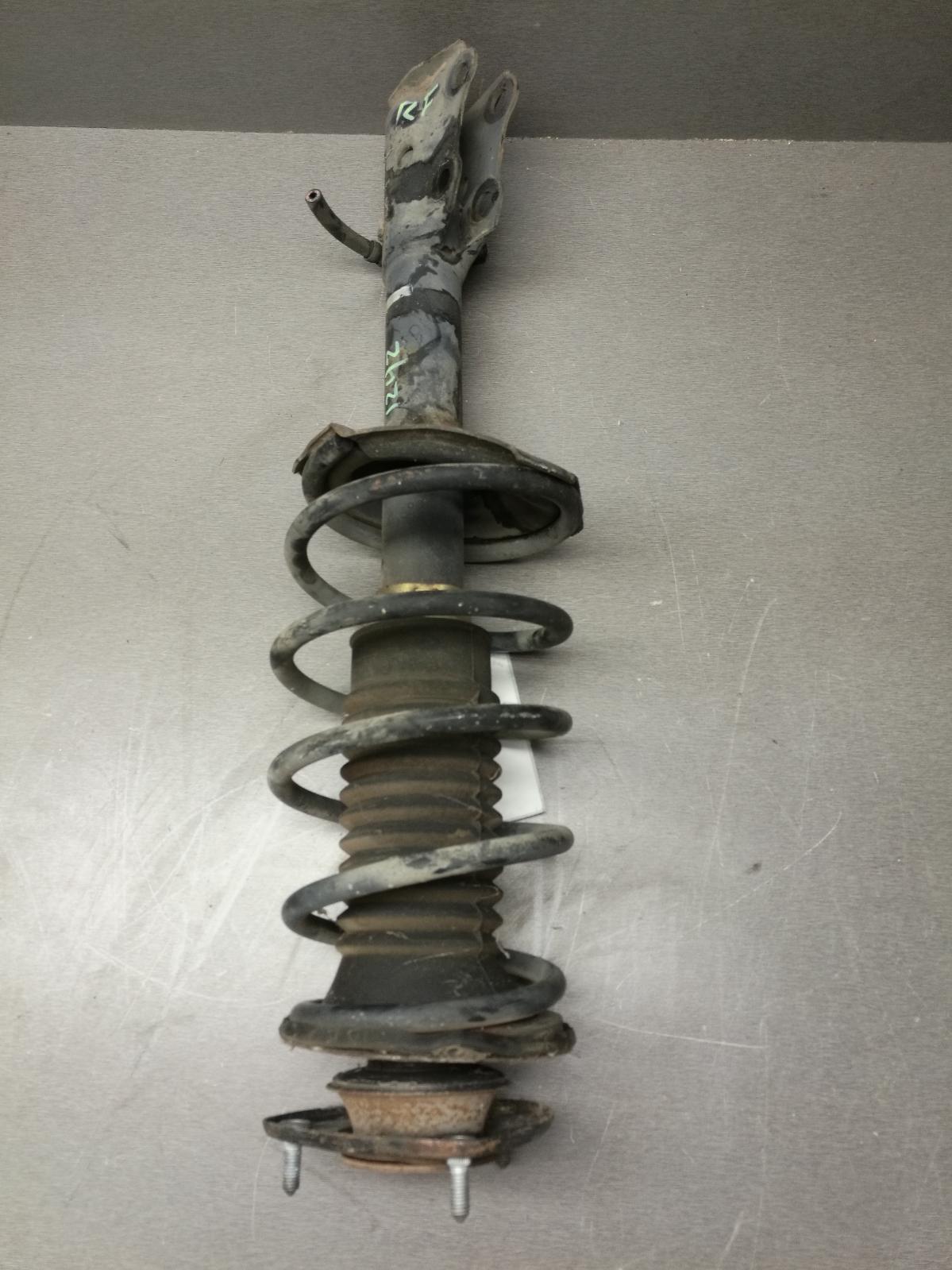 View Auto part Right Front Strut Toyota Echo 1999