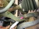 View Auto part Right Front Lower Control Arm Mazda 6 2002