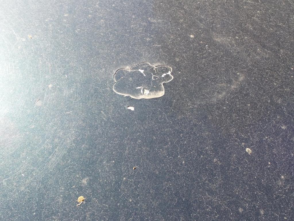 1991 Toyota Soarer Ecu View Auto part Ecu Toyota Soarer 1991