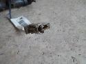 View Auto part Master Cylinder Mazda Bravo 1993