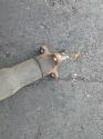 View Auto part Rear Drive Shaft Mercedes C Class 1995