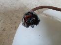 View Auto part Fan Subaru Impreza 2010